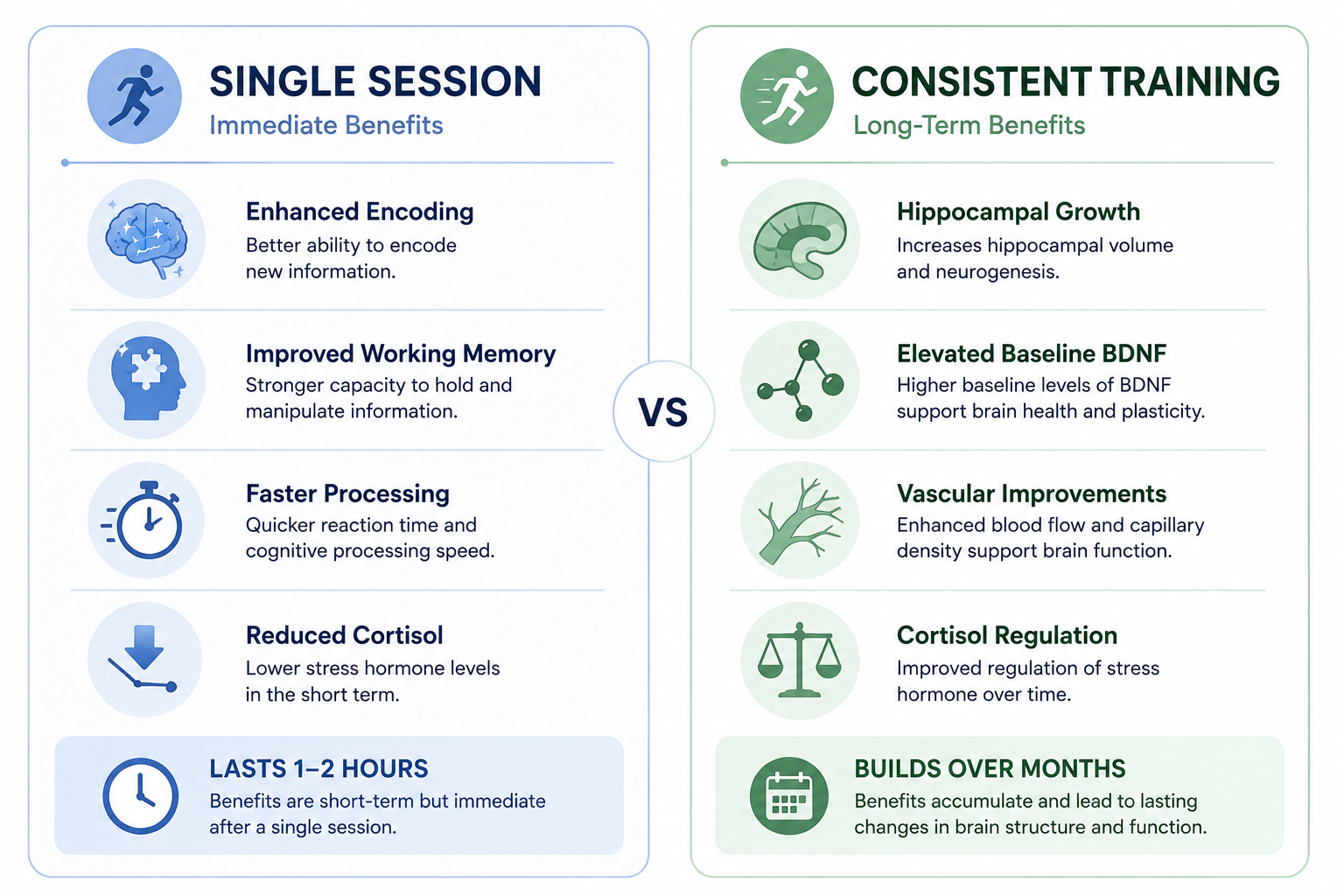 Comparison of acute exercise benefits (temporary, lasting 1-2 hours) versus chronic exercise benefits (structural, building over months) on memory and brain health.