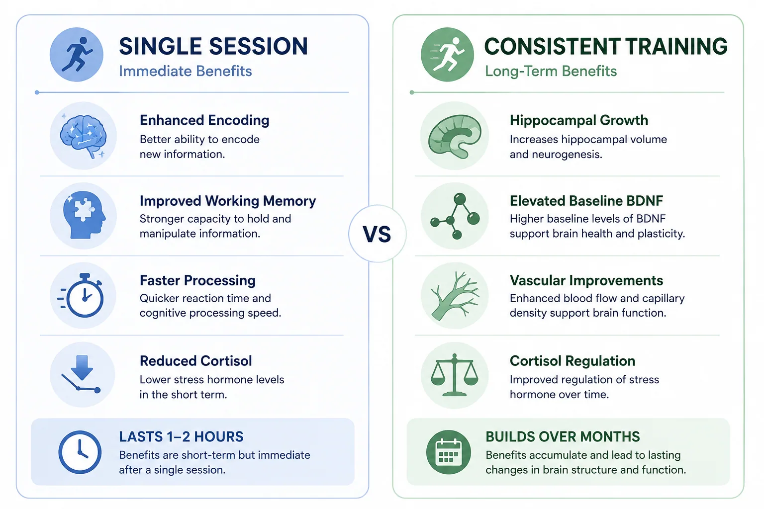 Comparison of acute exercise benefits (temporary, lasting 1-2 hours) versus chronic exercise benefits (structural, building over months) on memory and brain health.