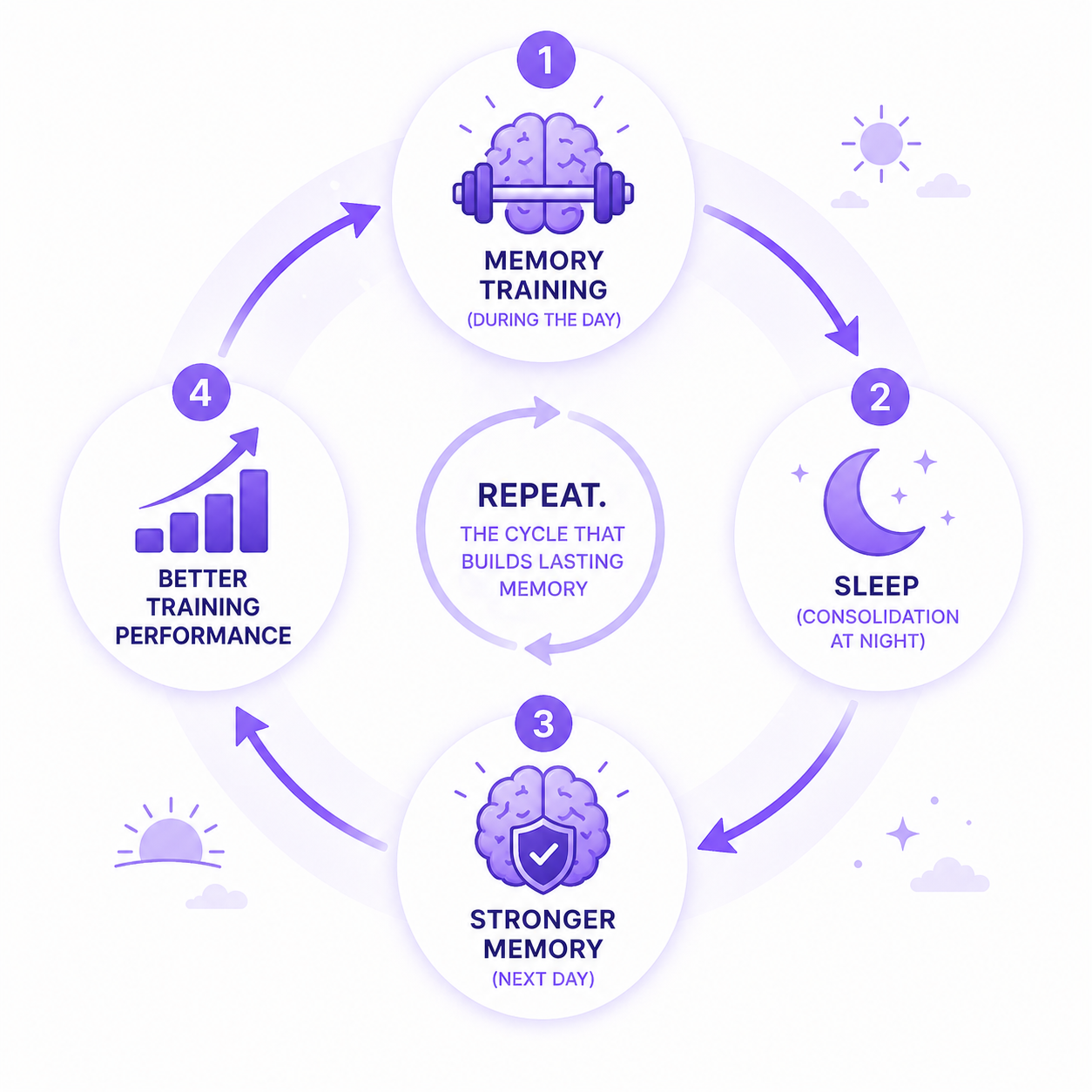 Feedback loop diagram showing how memory training during the day and quality sleep at night create a reinforcing cycle of memory improvement.