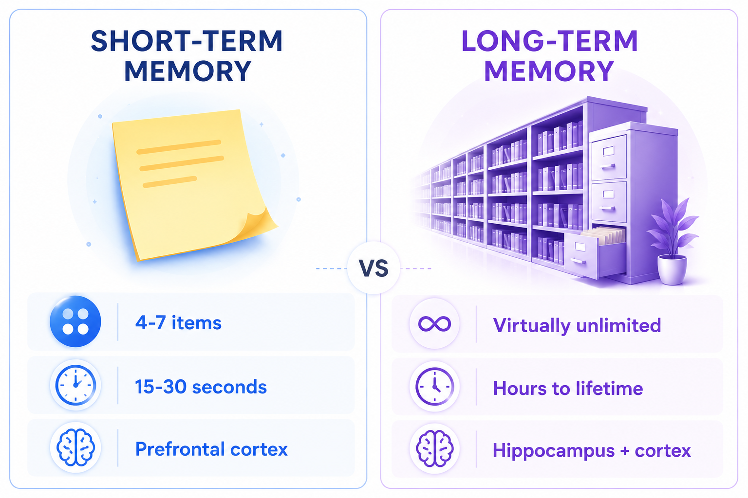 Comparison of short-term memory (4-7 items, 15-30 seconds, prefrontal cortex) versus long-term memory (unlimited capacity, hours to lifetime, hippocampus and cortex)