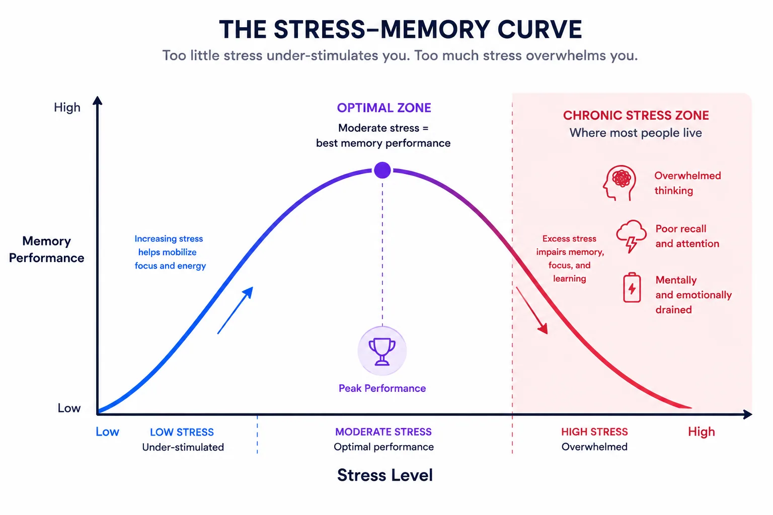 Inverted U curve showing the relationship between stress and memory performance, with optimal memory at moderate stress levels and impairment at both low and high stress levels.