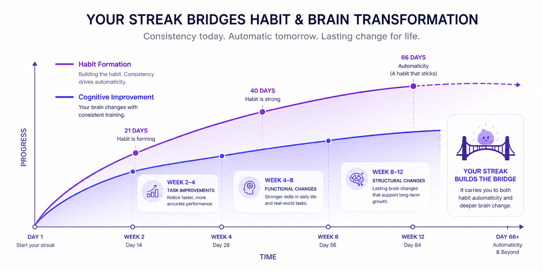 Overlapping timeline of habit formation and cognitive improvement, showing how Blanked’s streak system bridges the gap until both the habit and the brain changes become self-sustaining