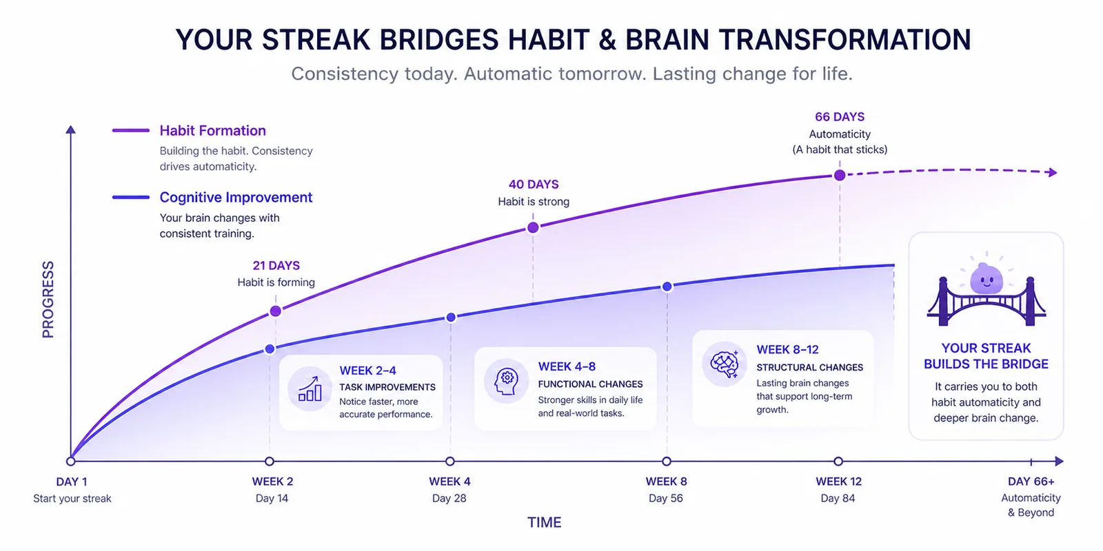 Overlapping timeline of habit formation and cognitive improvement, showing how Blanked’s streak system bridges the gap until both the habit and the brain changes become self-sustaining