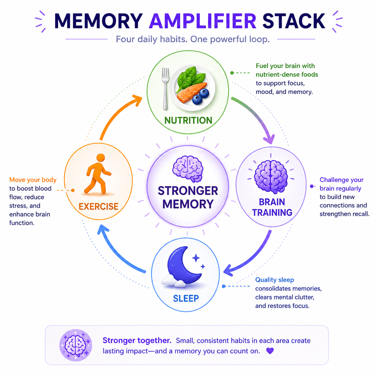 Diagram showing how nutrition, brain training, sleep, and exercise work together in a reinforcing loop to produce stronger memory.