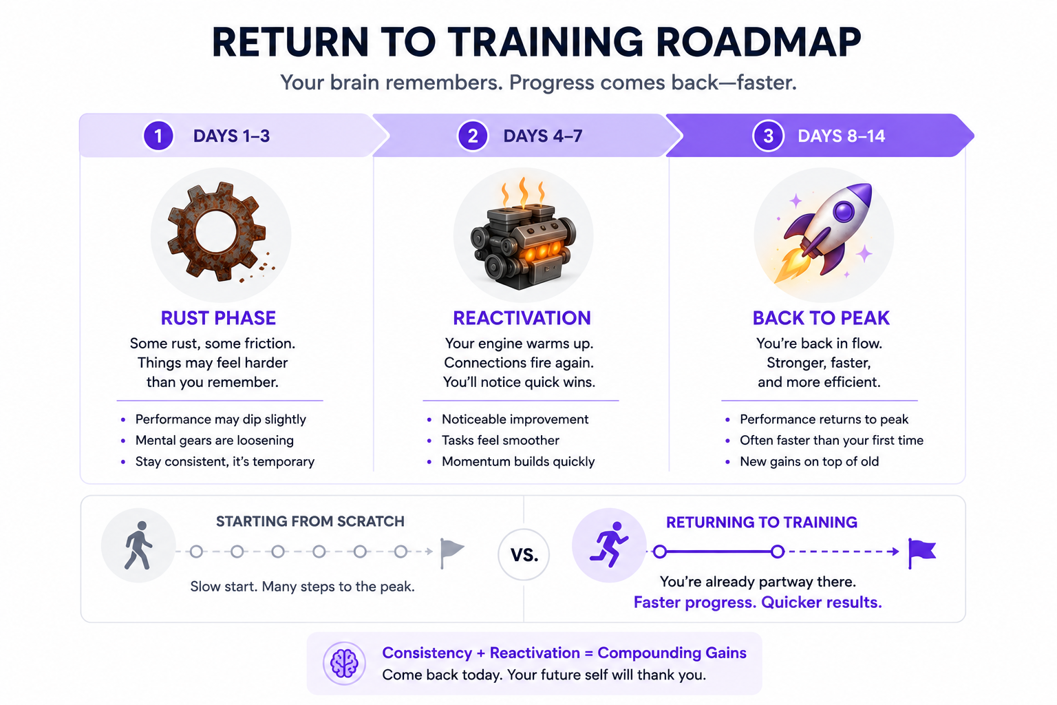 Three-stage roadmap showing recovery after a training break: rust phase (days 1-3), reactivation (days 4-7), and return to peak performance (days 8-14).