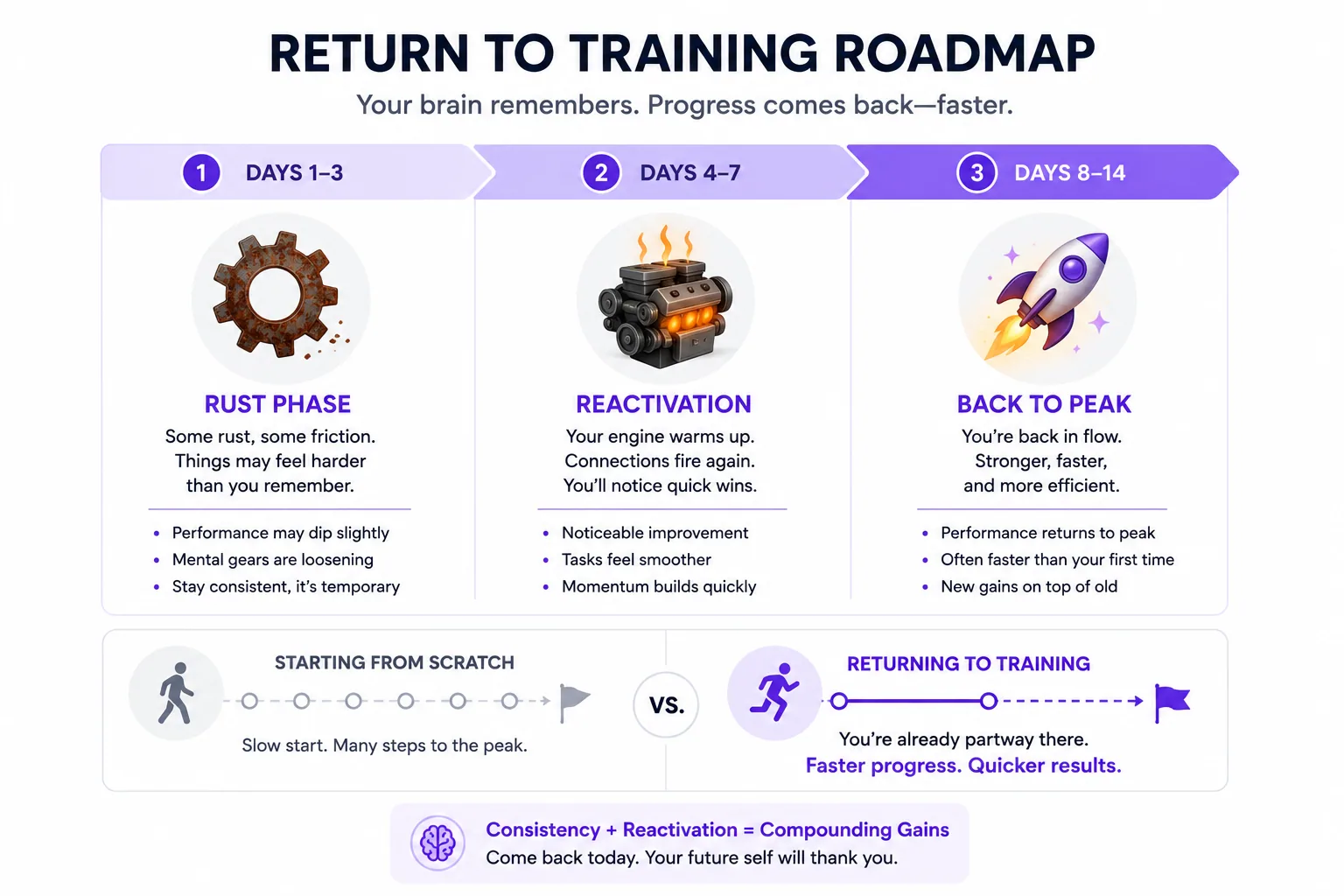 Three-stage roadmap showing recovery after a training break: rust phase (days 1-3), reactivation (days 4-7), and return to peak performance (days 8-14).