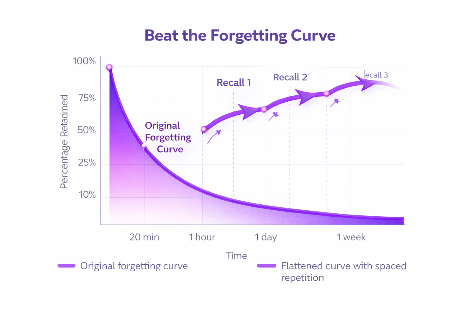 Graph comparing the steep forgetting curve with a flattened curve achieved through spaced repetition, showing how regular review sessions maintain memory retention.