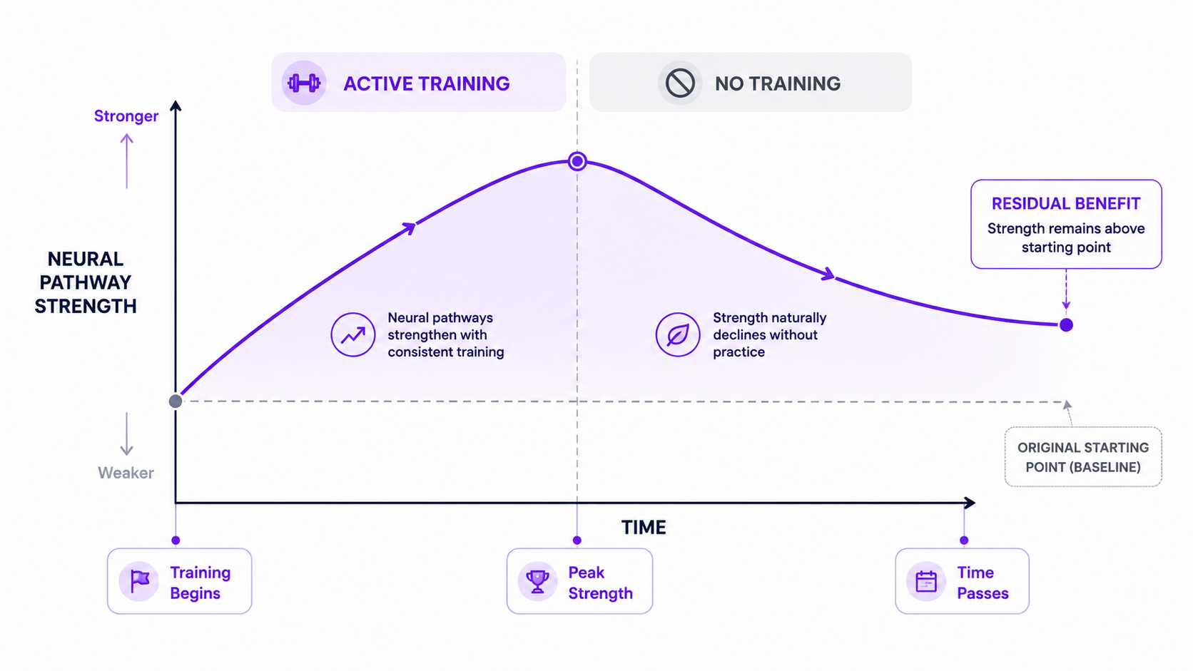 Graph showing memory training benefits rising during active training, gradually declining when training stops, but remaining above the original baseline.